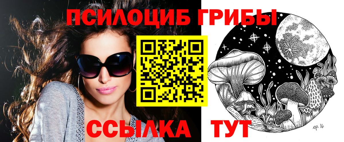 Псилоцибиновые грибы ЛСД  Вход с VPN  Химки  Псилоцибиновые грибы Psilocybe 