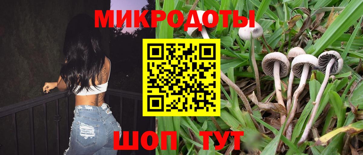 Псилоцибиновые грибы Magic Shrooms Химки